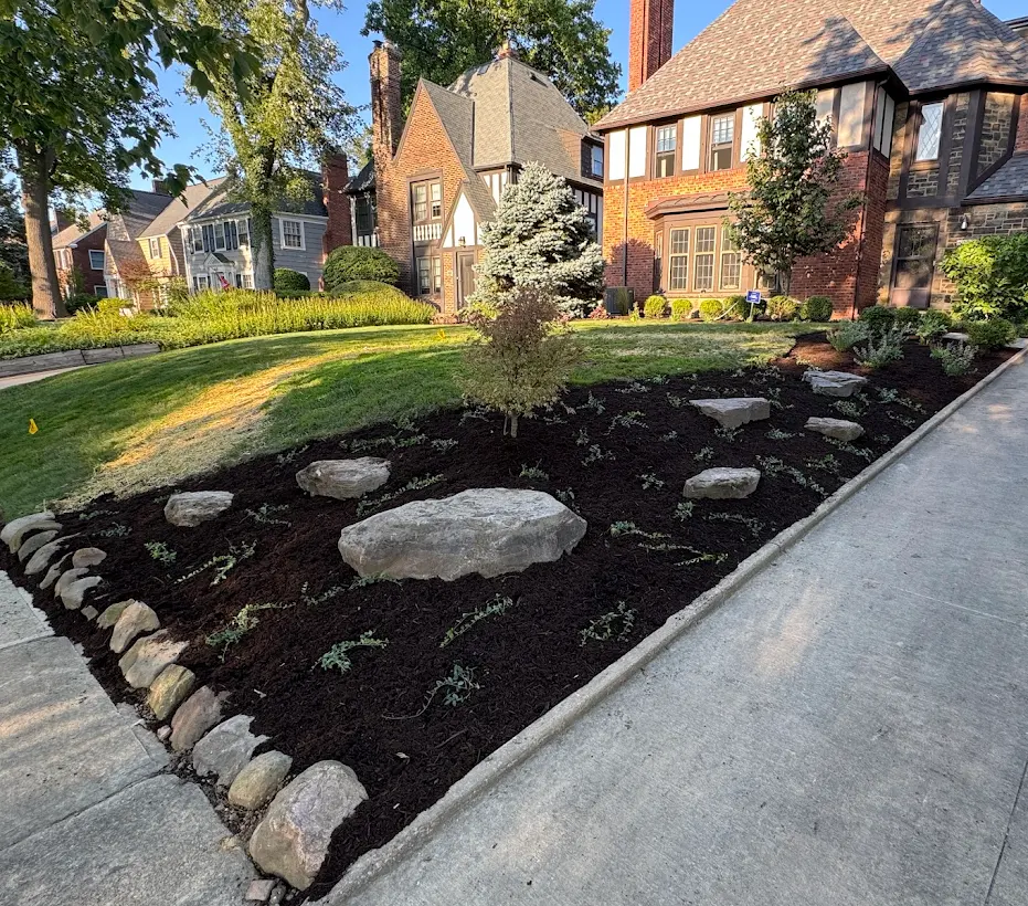 Jillian's yard transformation